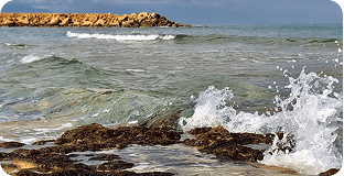 Small waves near a rocky beach