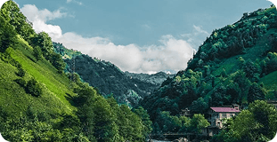 Hillside valley with lush greenery