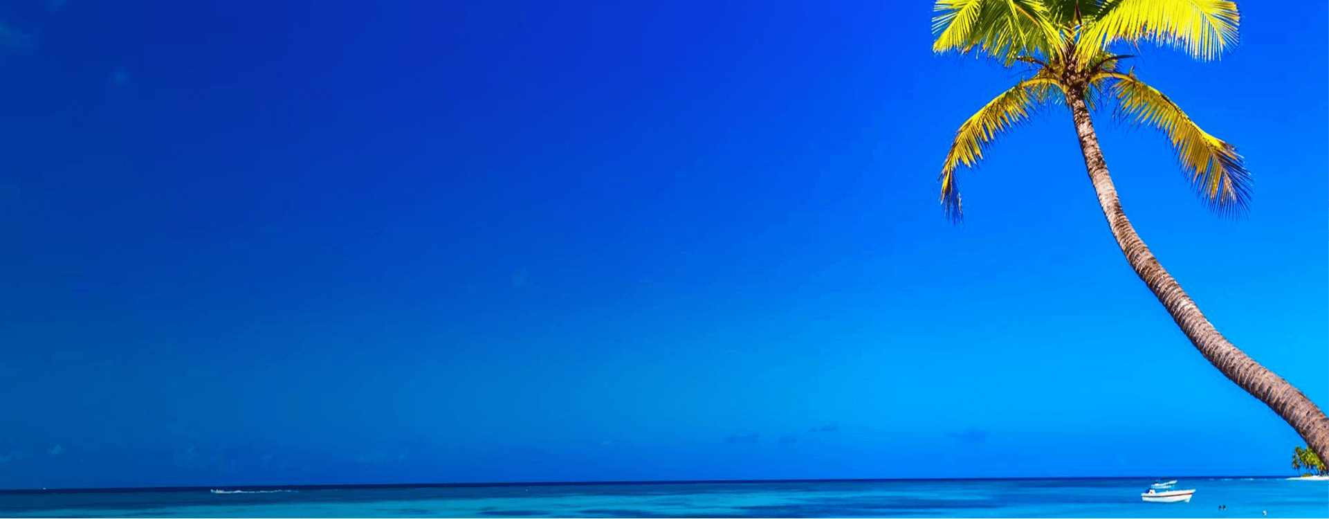 Tropical beach destination